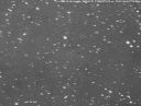 Снимок дифузного облака, что осталось от кометы C/2008 J4 (McNaught). Автор: Михаил Егер из Австрии.